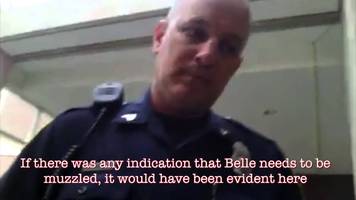 Police Grab Phone From Veteran, Cite Him With Unauthorized Photography Charge (Video)